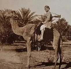 Image description